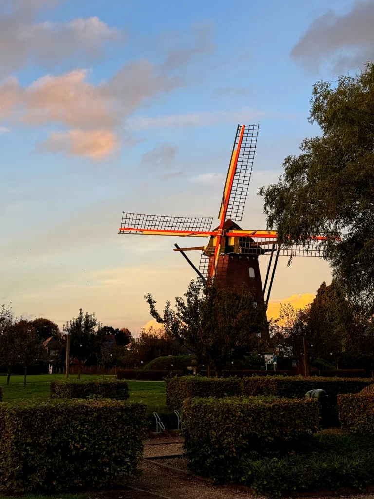 De Scherpenbergmolen bij zonsondergang met roze wolken