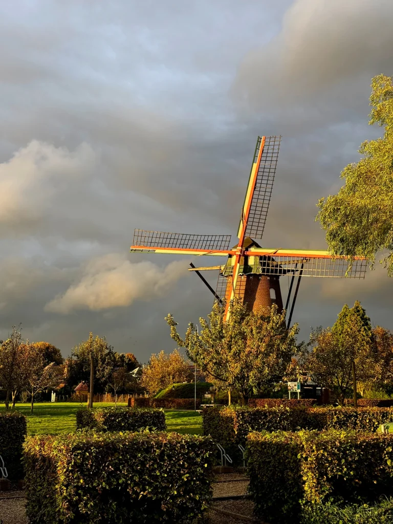 De Scherpenbergmolen in Westmalle in warm avondlicht onder een donkere wolkenlucht