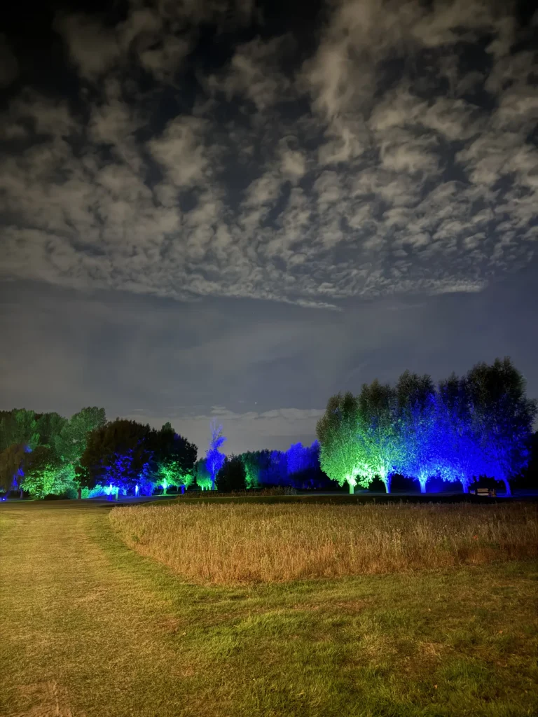Verlichte bomen langs de golfbaan bij nacht op Fairway Festival 2025